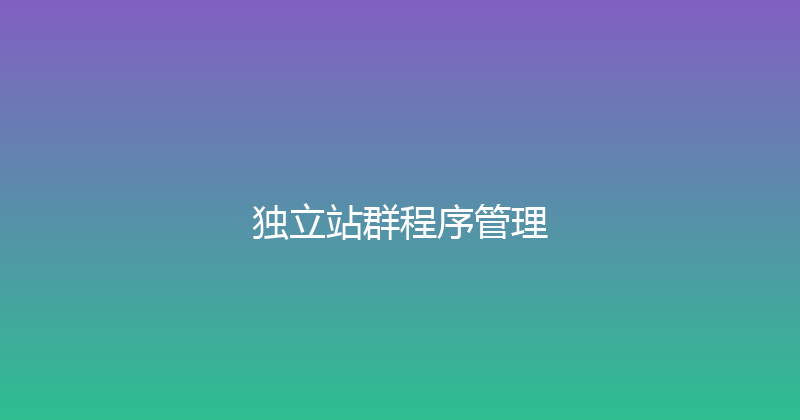 独立站群程序管理 封面图