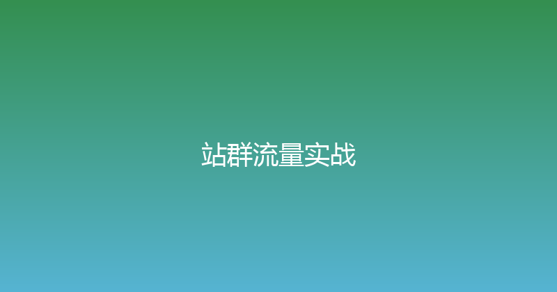 站群流量实战 封面图