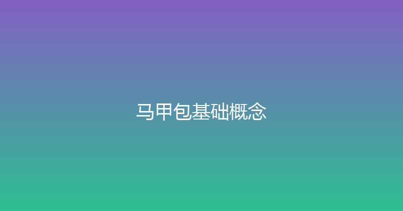 马甲包基础概念 封面图