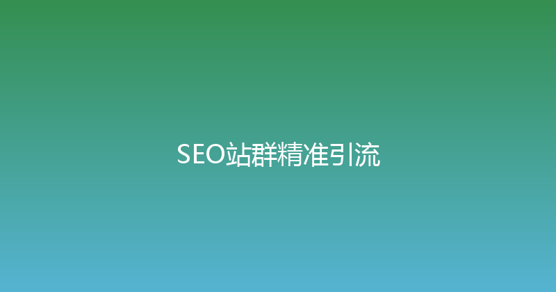 SEO站群精准引流 封面图